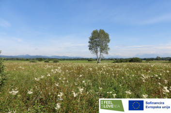 ZivoLjub_nasi-projekti