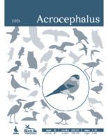 Acrochepalus_188_189_web