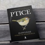 Izid priročnika Ptice Slovenije, Evrope in Sredozemlja