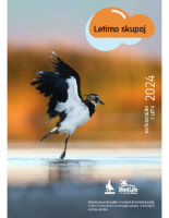 Letimo skupaj, Naši dosežki v letu 2024