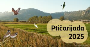 Pričarijada 2025